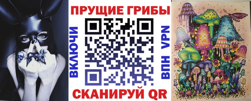 Псилоцибиновые грибы Psilocybe Алексеевка