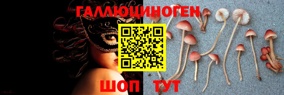 Алексеевка  Галлюциногенные грибы GOLDEN TEACHER  Галлюциногенные грибы прущие грибы  Вход с VPN 